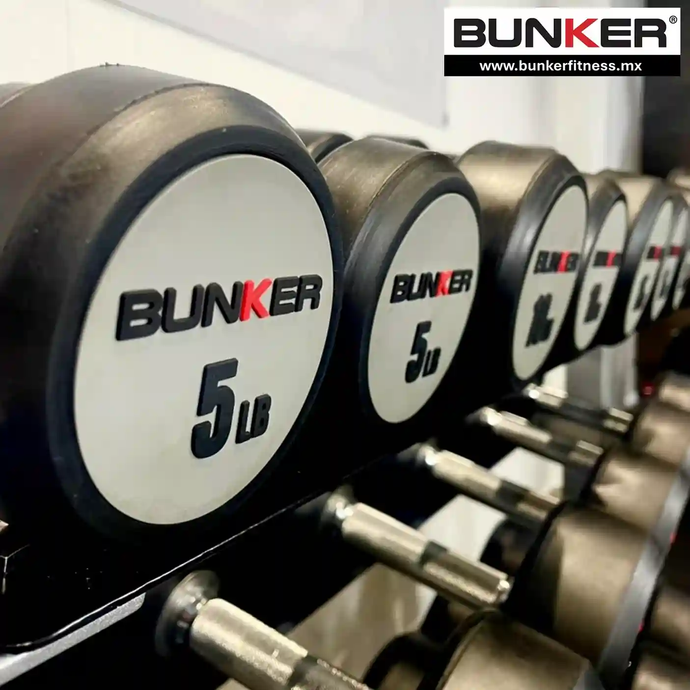 Set de mancuernas redondas con rack para ejercicio y gimnasio bunker gym bunker fitness