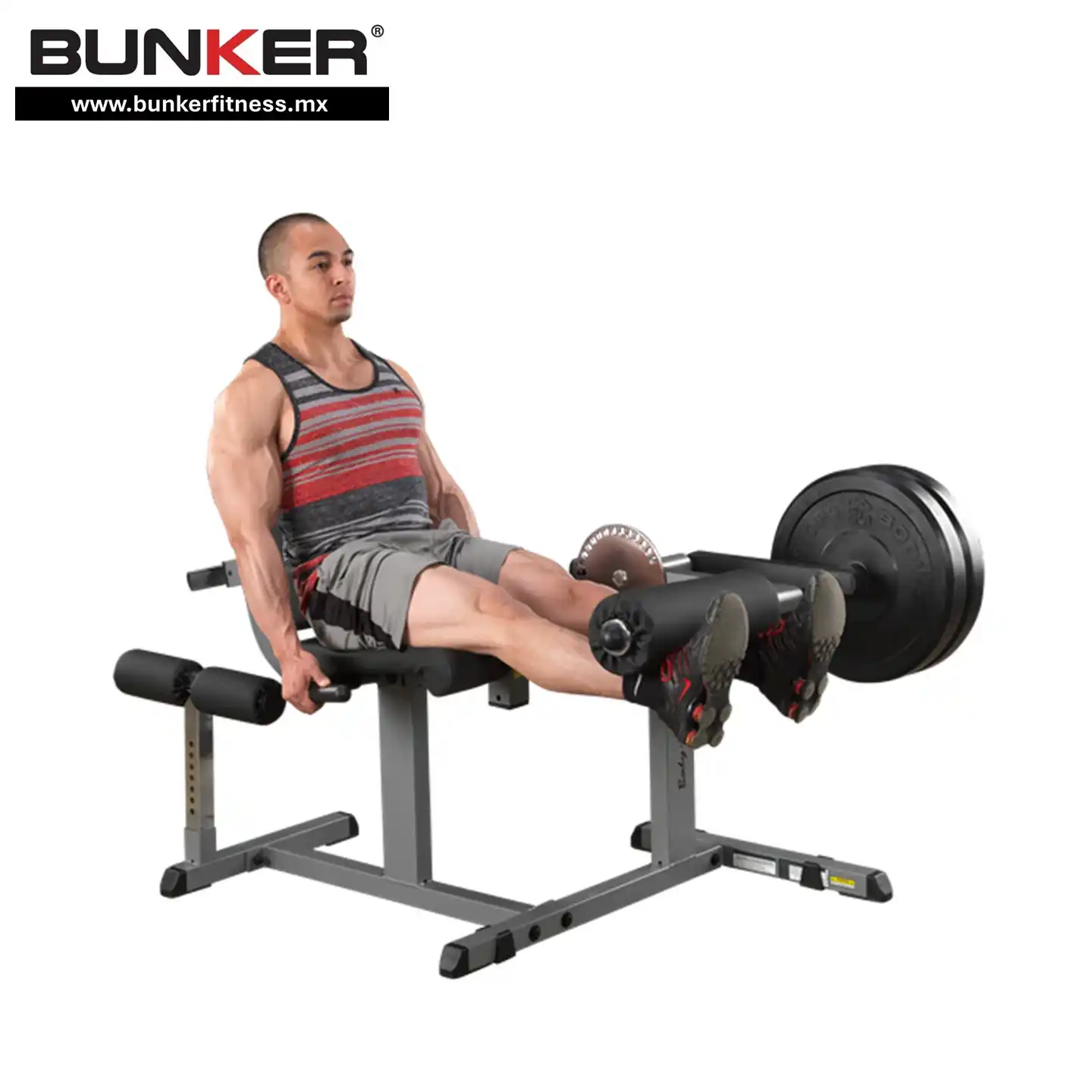 extensión de pierna y femoral sentado body solid bunker gym bunker fitness para ejercicio y gimnasio en casa