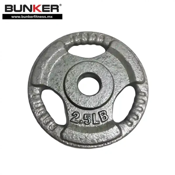 par de discos estandar de 2.5 libras bunker fitness Aparatos para hacer ejercicio Gimnasio en casa equipos de gimnasio