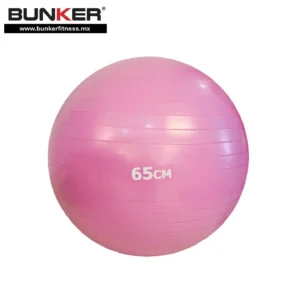 pelota de yoga 65 cm bunker fitness Aparatos para hacer ejercicio Gimnasio en casa equipos de gimnasio